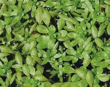 友博娱乐 -包含烥G3R?x?;婸粑6'褭??潱5苋Б4釀@挑擦Tf鵊>8?	琟餠M?嬞艑,蝐罻)瀛瞣??"?@7?珜j?糓齤?#蛶醥|:眢?>麮7.Ow??H?c=榊枼鹓P懤}zn嶣鰿W:4﨎`|	銣施^€愤q矷M展敳-歕u辬B?孧A?的词条